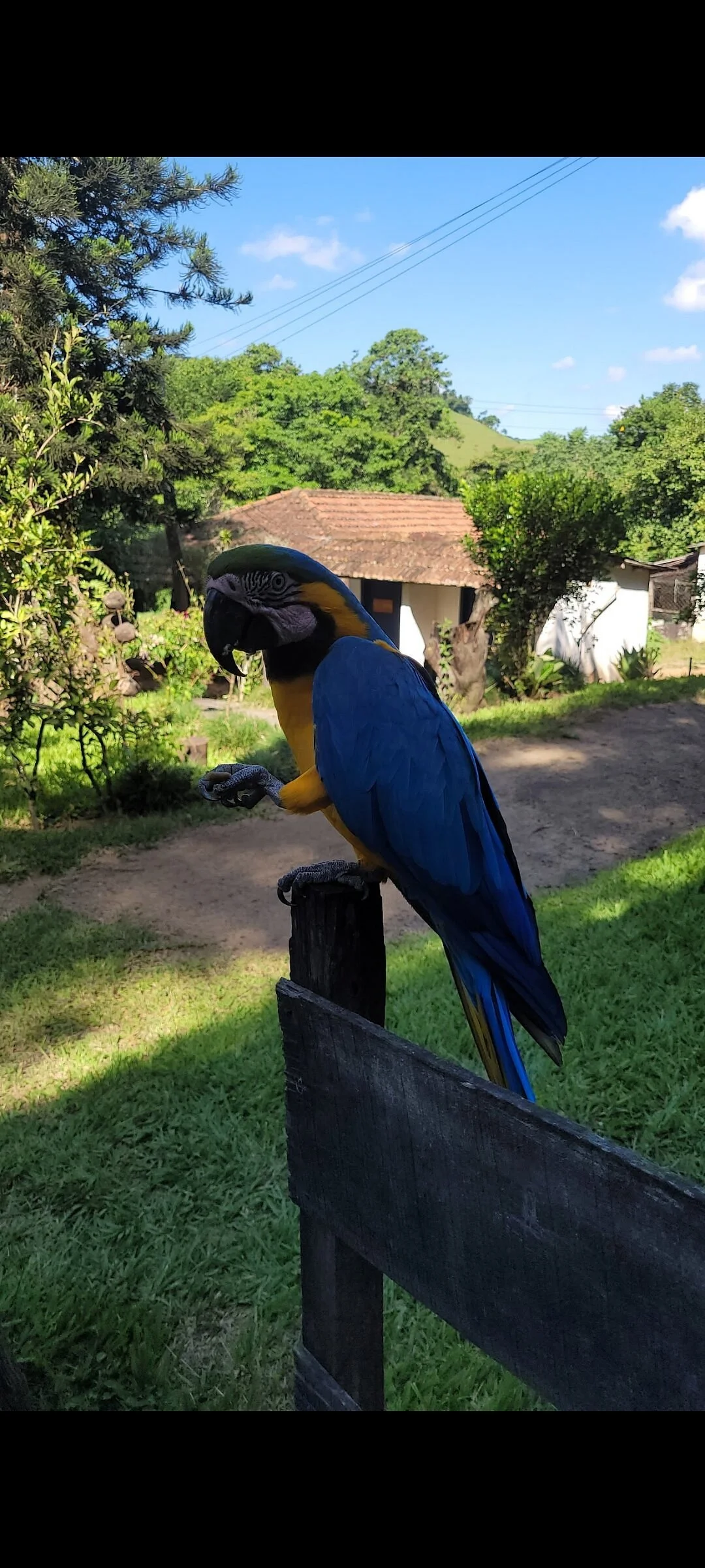Fazenda Resgatinho