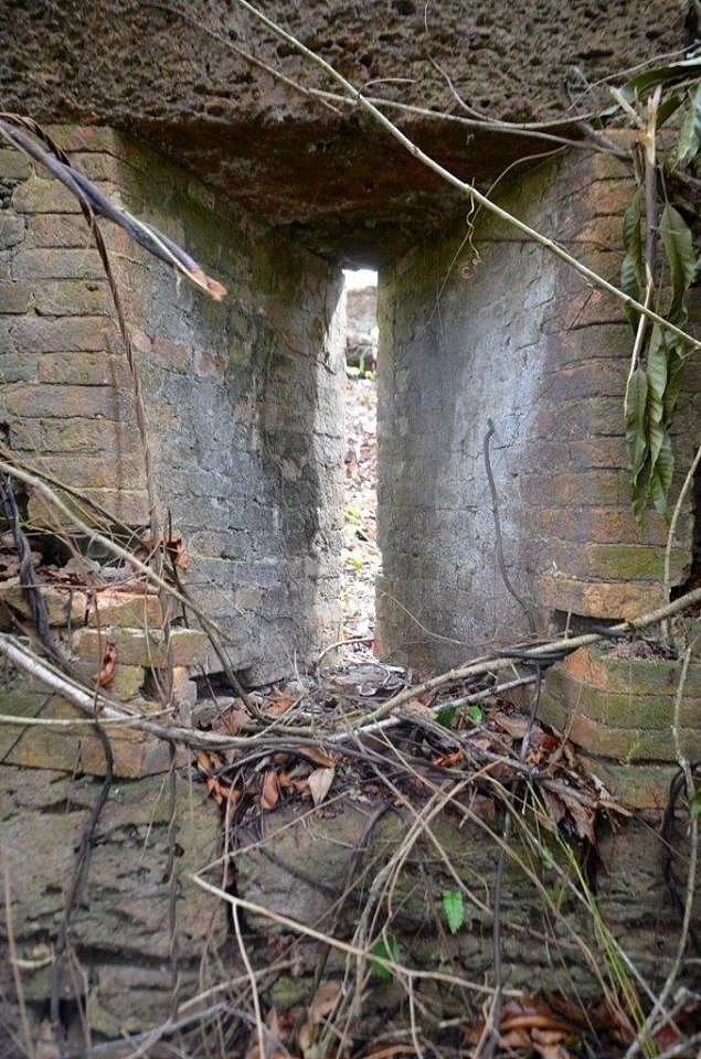 Fort Trio