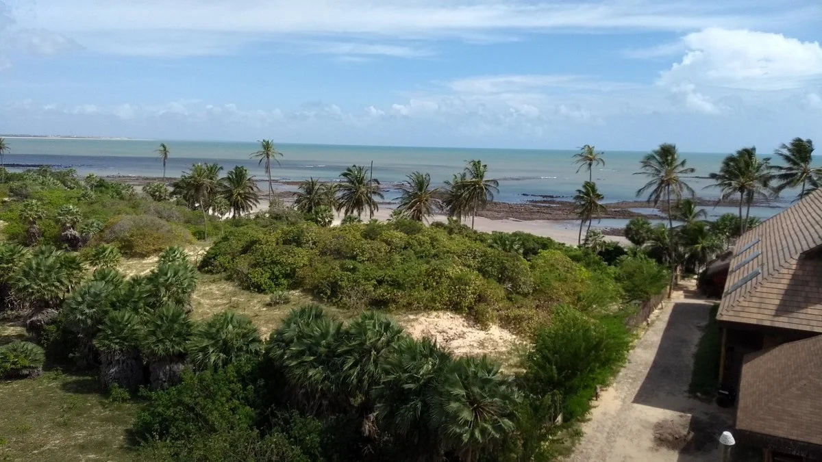 Carnaubinhas Beach