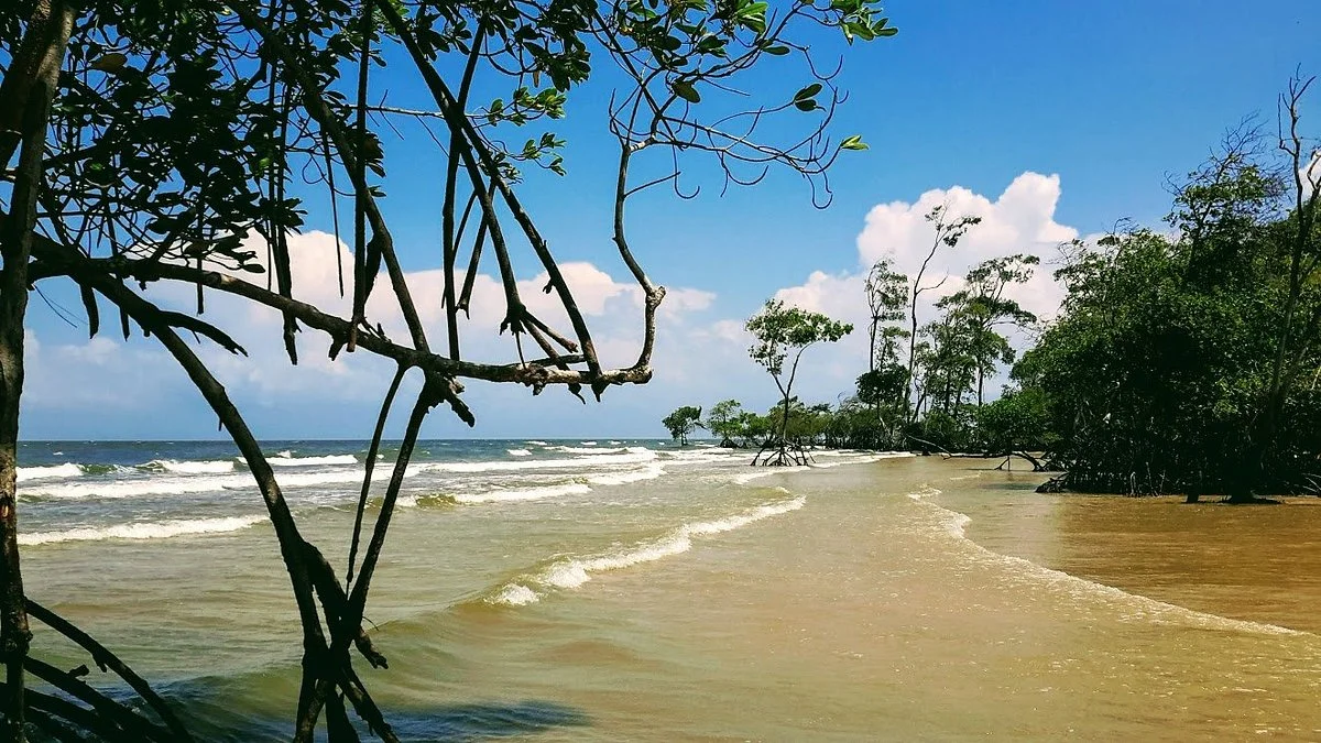 Barra Velha Beach