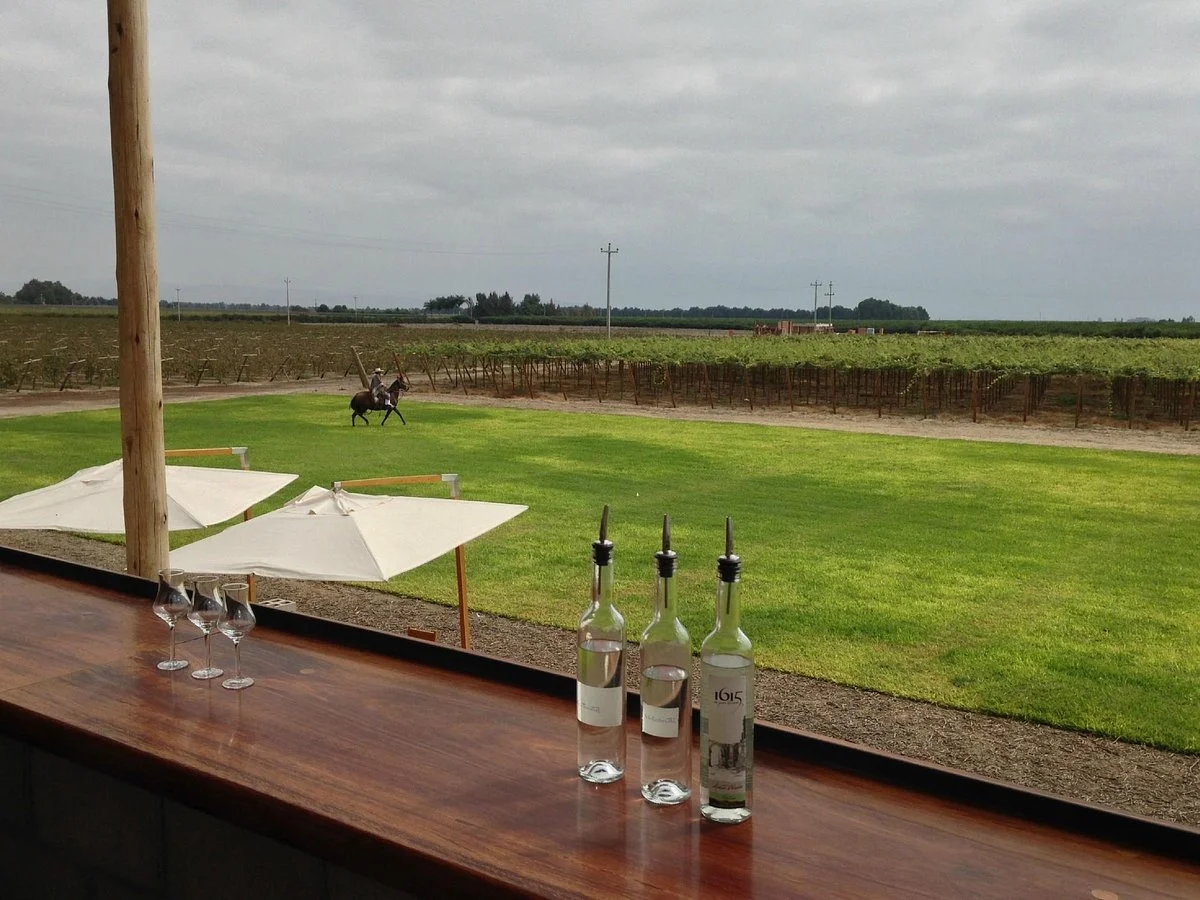 Bodega 1615