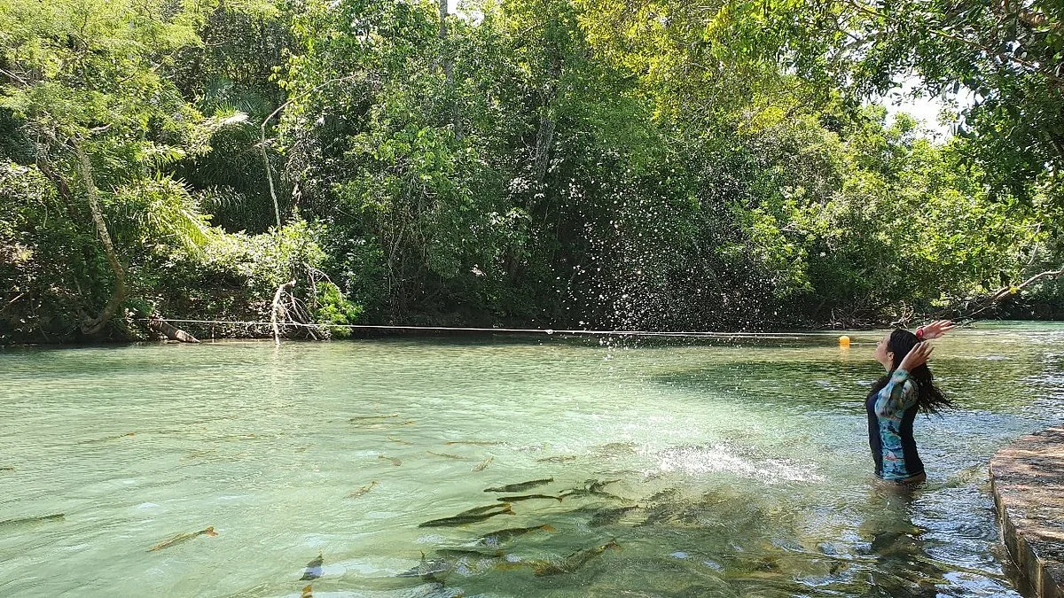 Jardim Ecopark