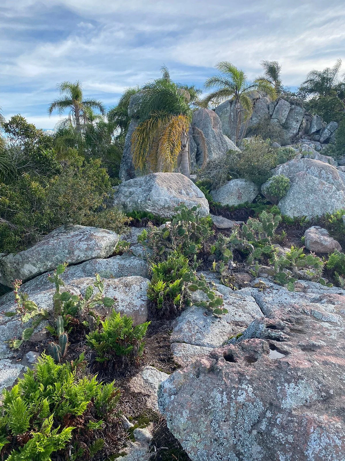 Parque Nacional San Miguel