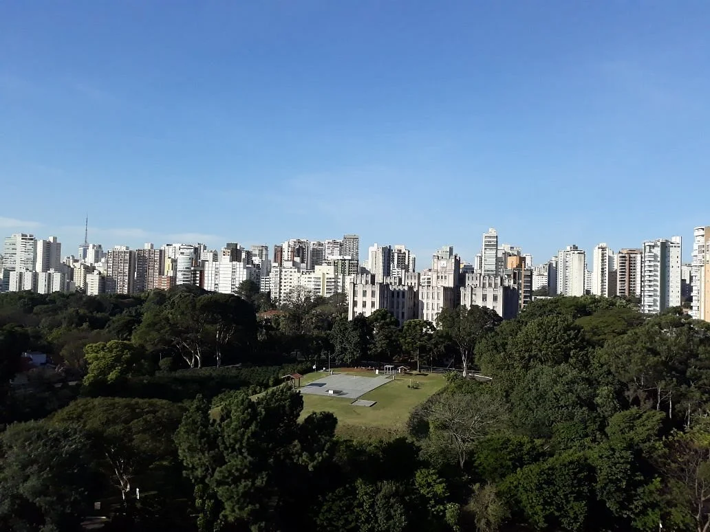 Museum of Contemporary Art  - MAC USP Ibirapuera