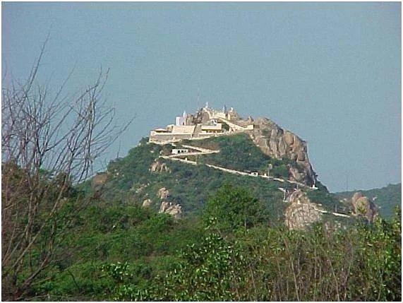 Monte do galo