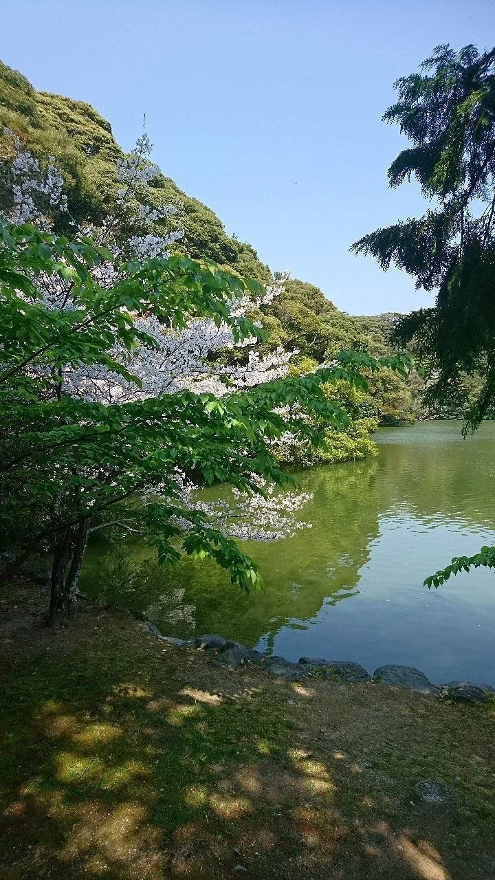 Sakuragaike Pond