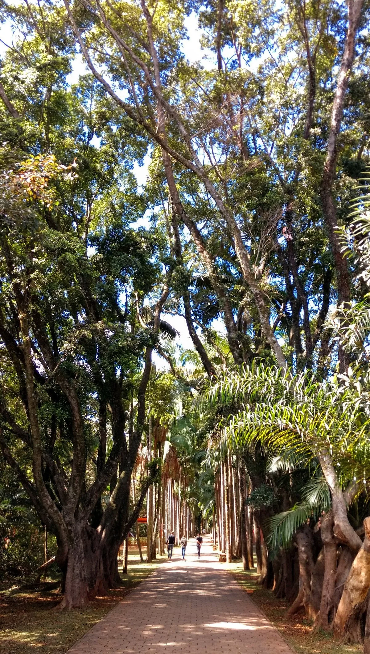 Núcleo Itaim Biacica