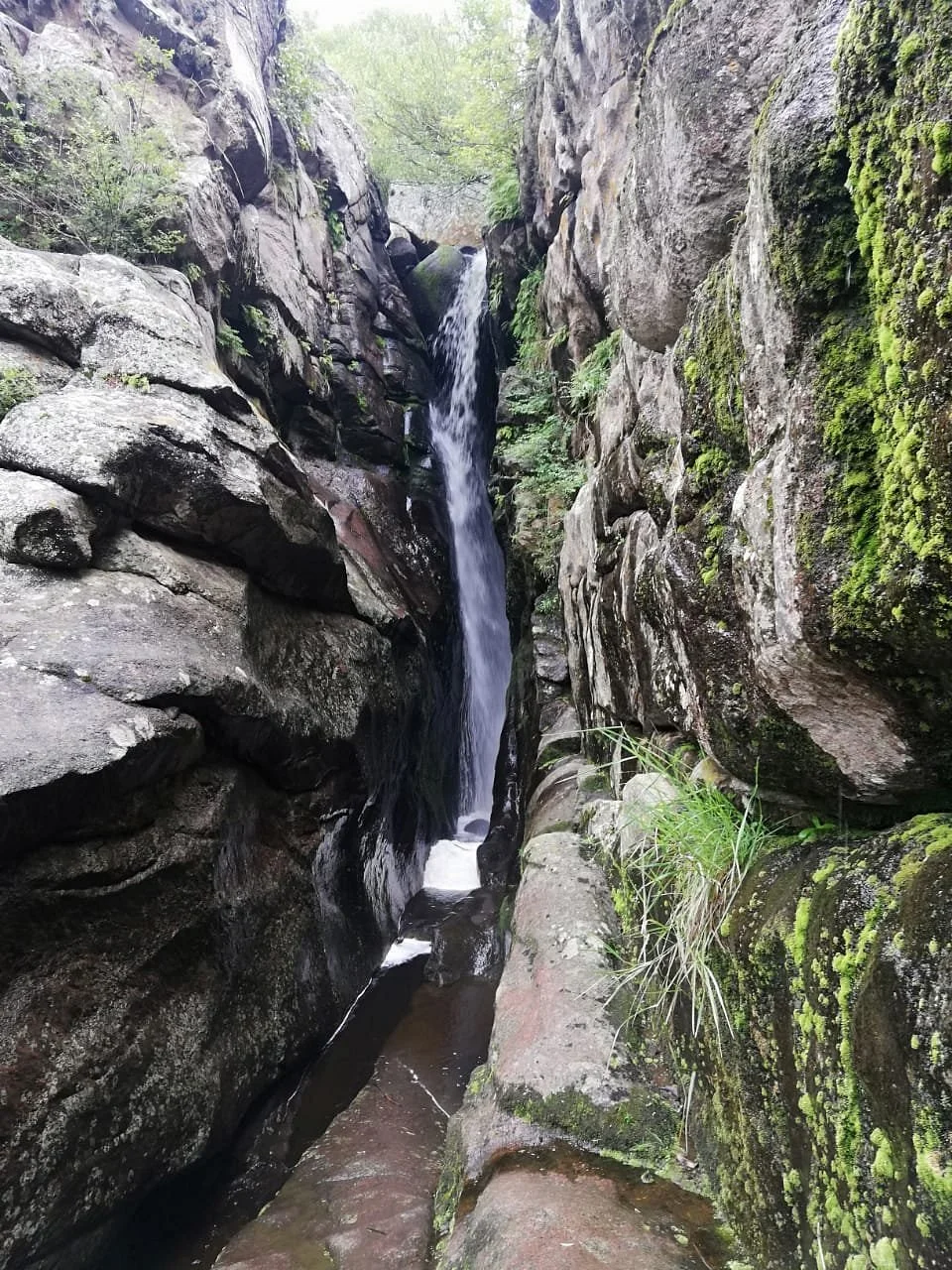 Cueva de Los Pajaritos