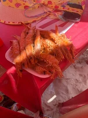 Praia de Tubarao