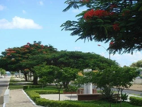 Monumento Jaci Flores