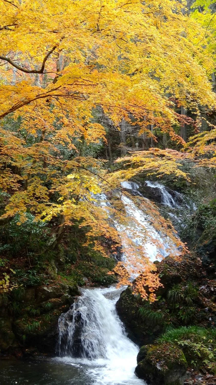 Shimotaki Falls