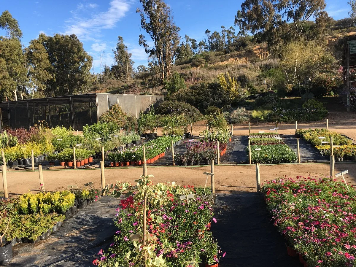 Jardin Suizo