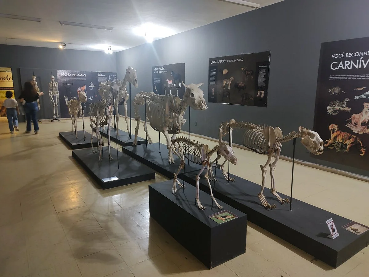 Museu Câmara Cascudo