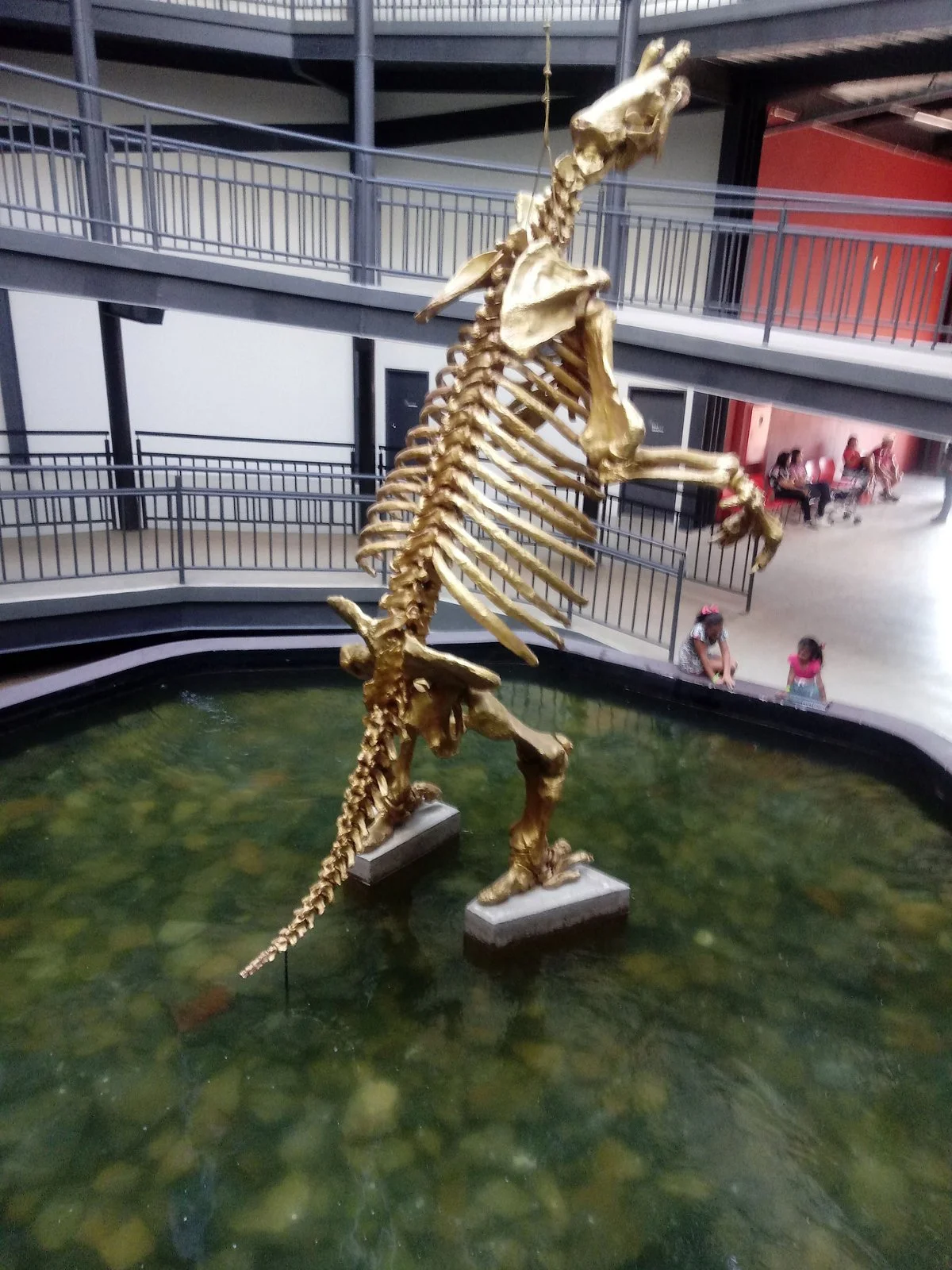 Museu da Natureza