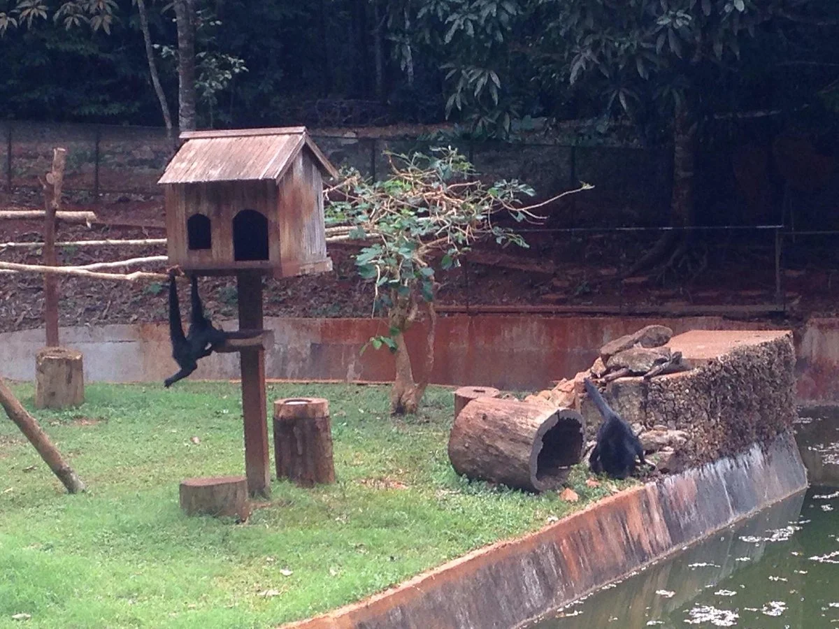 Fundacao Zoobotanica de Carajas - Cine- Theater