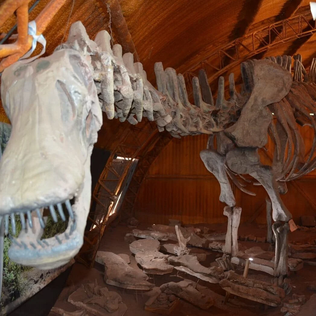 Lago Barreales Paleontological Centre