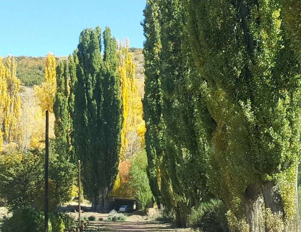 Alumine River