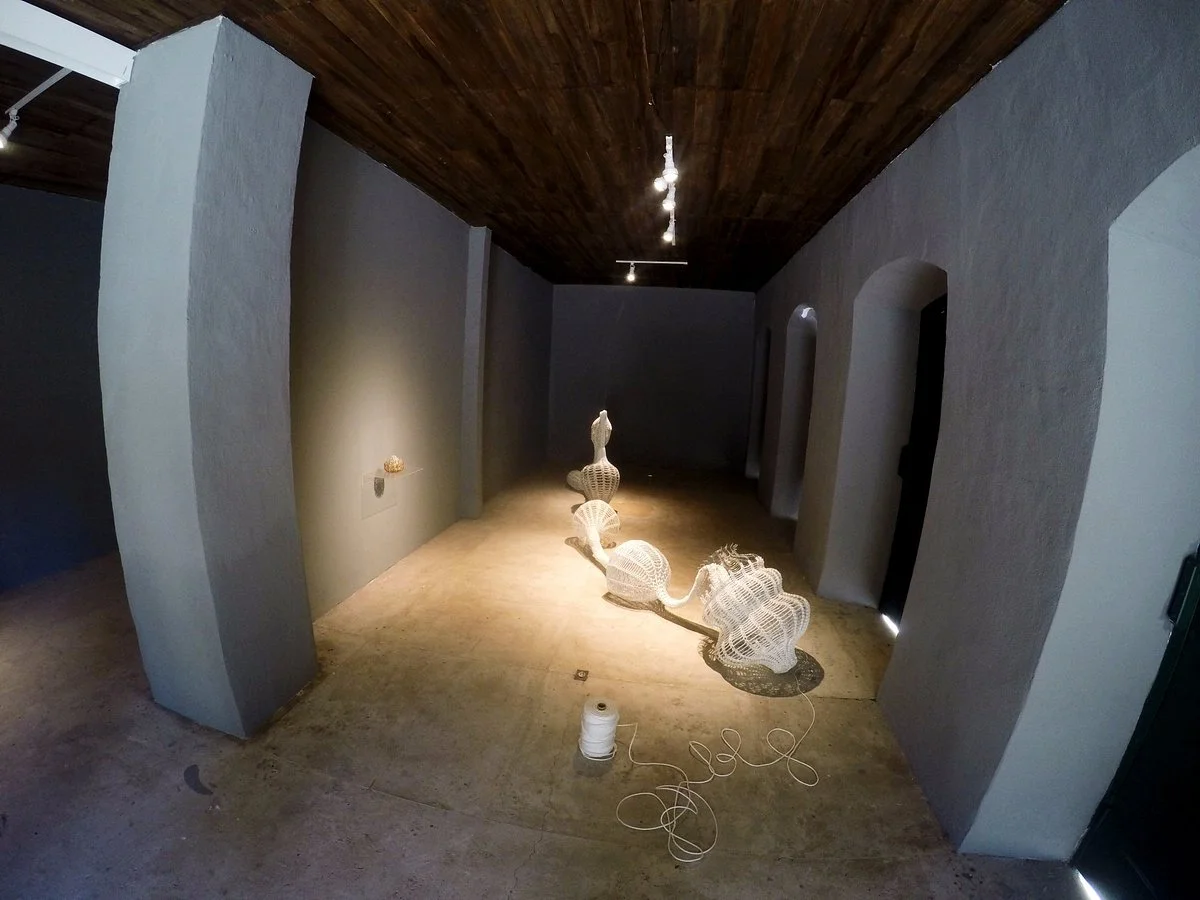 Galeria de Arte Casarao