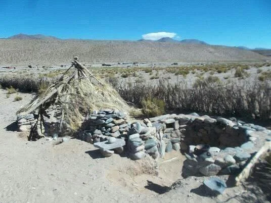 Paseo Con Llamas