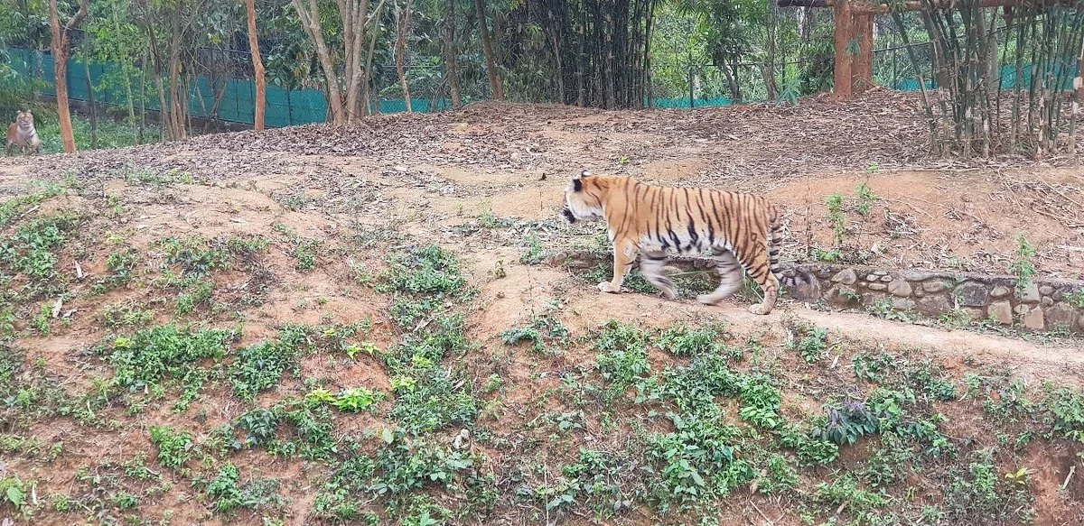 Nagaland Zoological Park