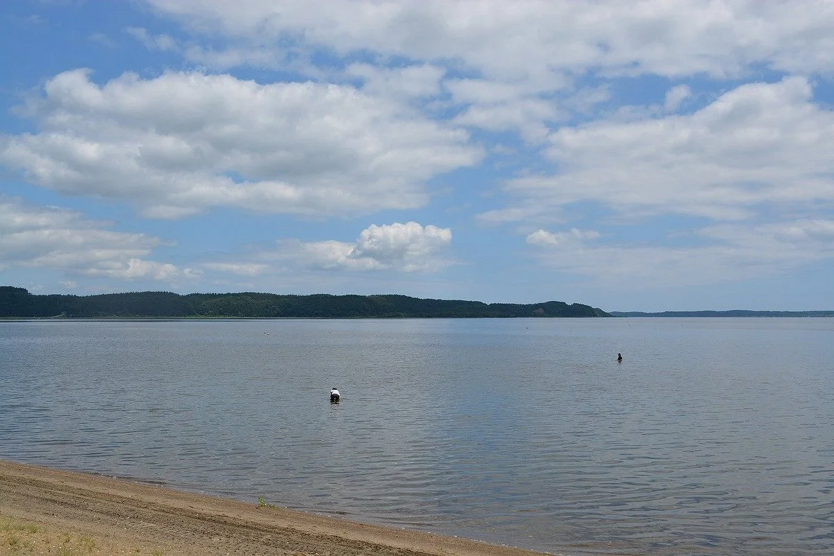 Michi-no-Eki Lake Ogawara - Koyukan