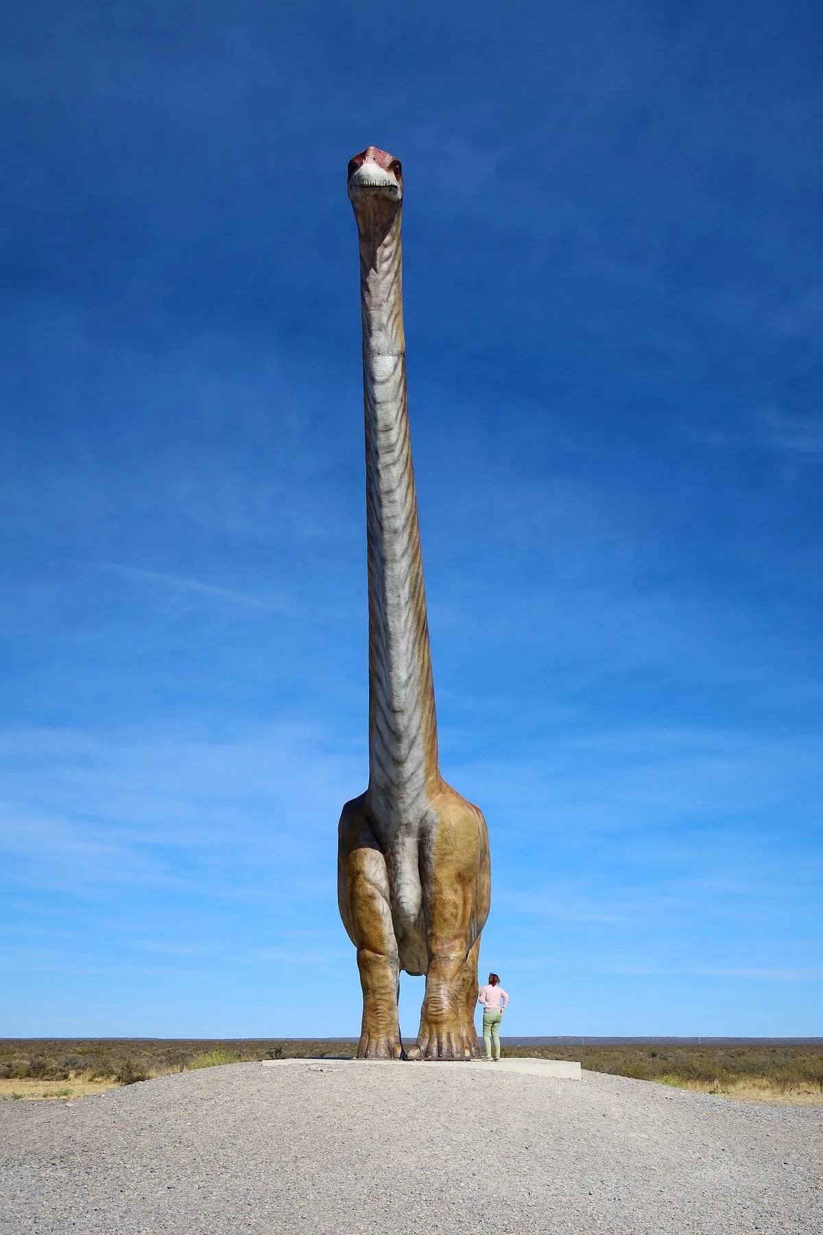 Replica del Titanosaurio