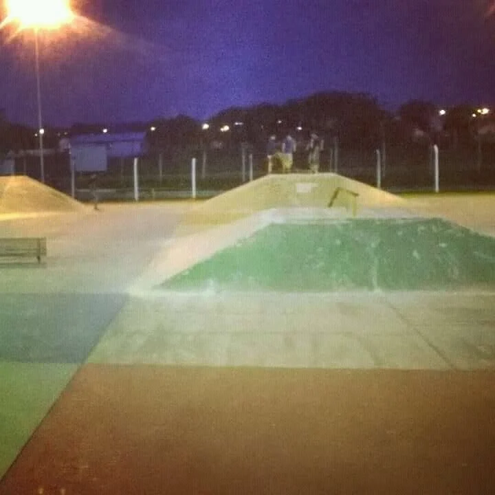 Pista municipal de skate
