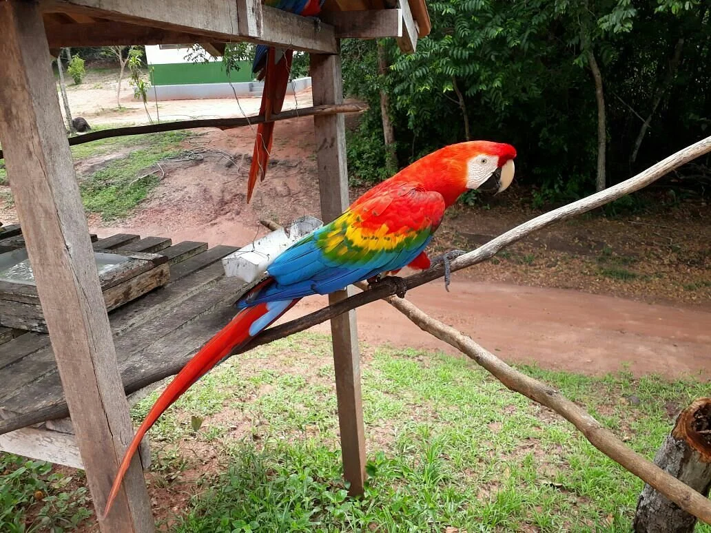 ZooFIT - Zoologico de Santarem