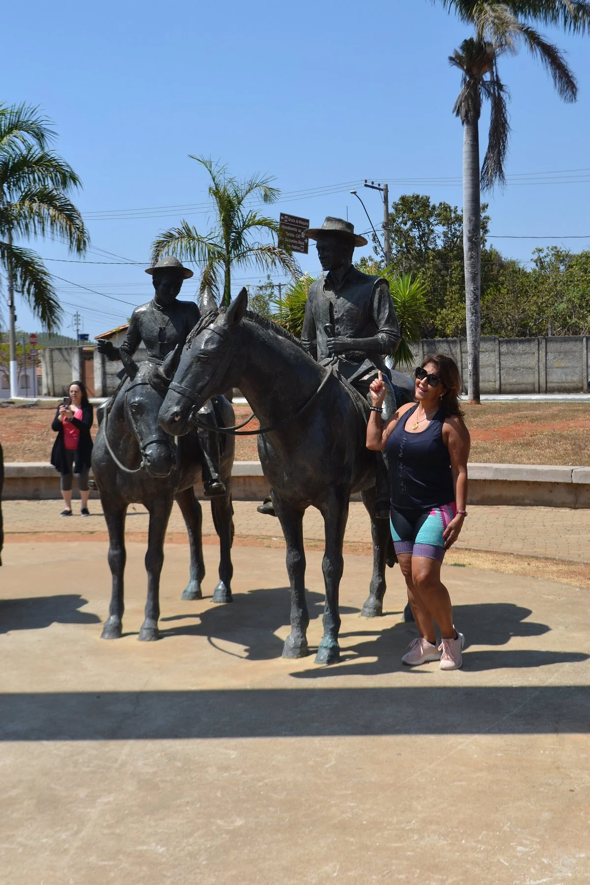 Portal Grande Sertao