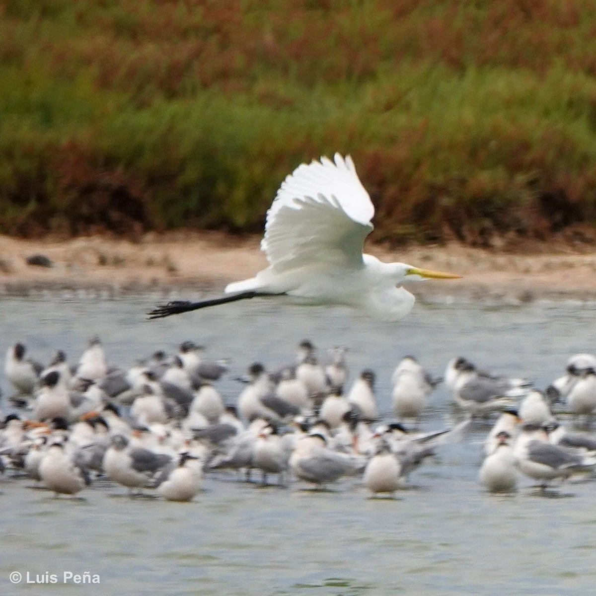 El Yali National Reserve