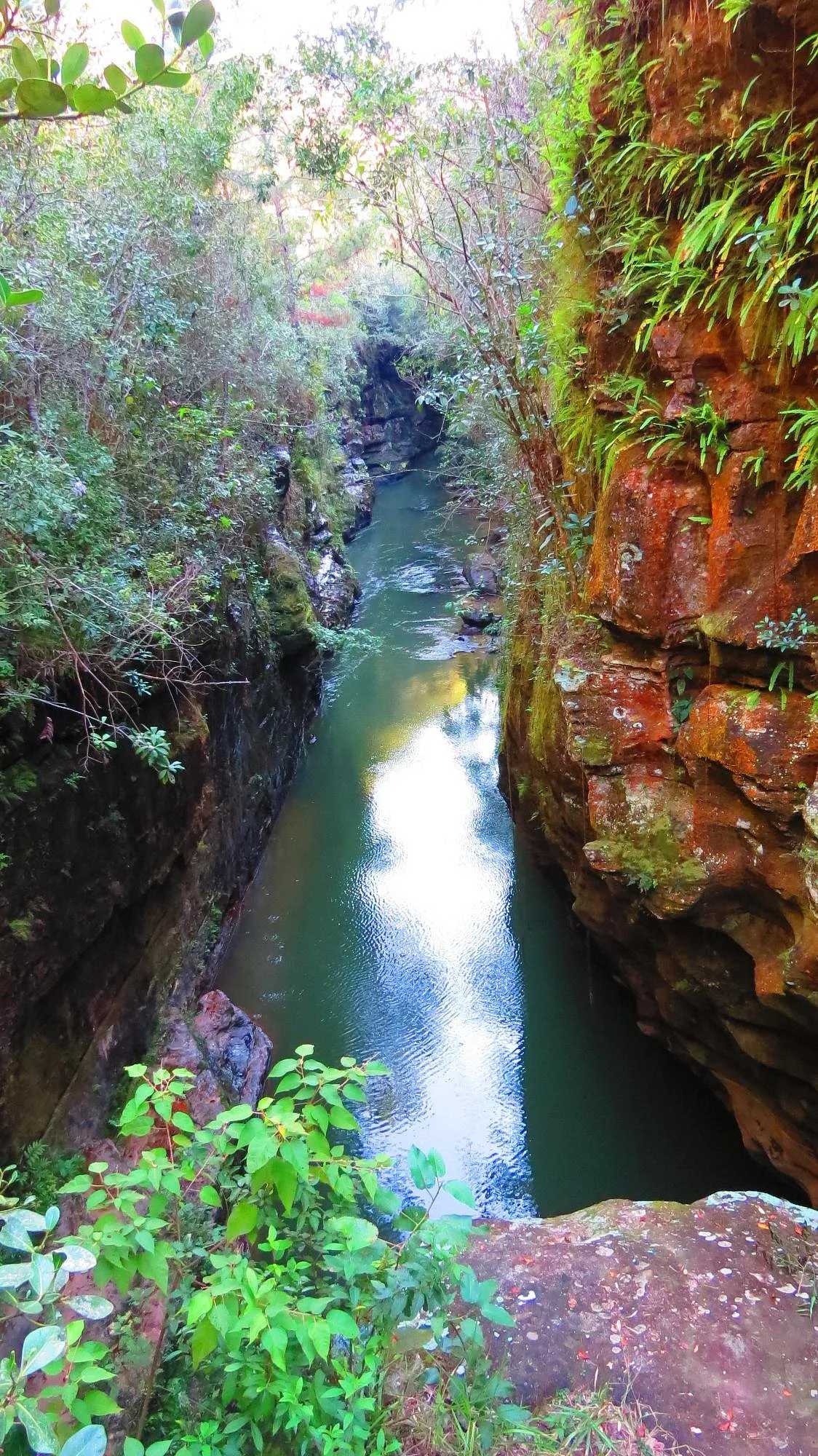 Parque Ecológico da Barreira