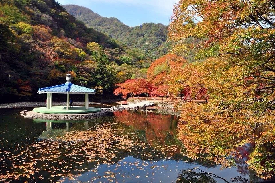 Naejangsan National Park