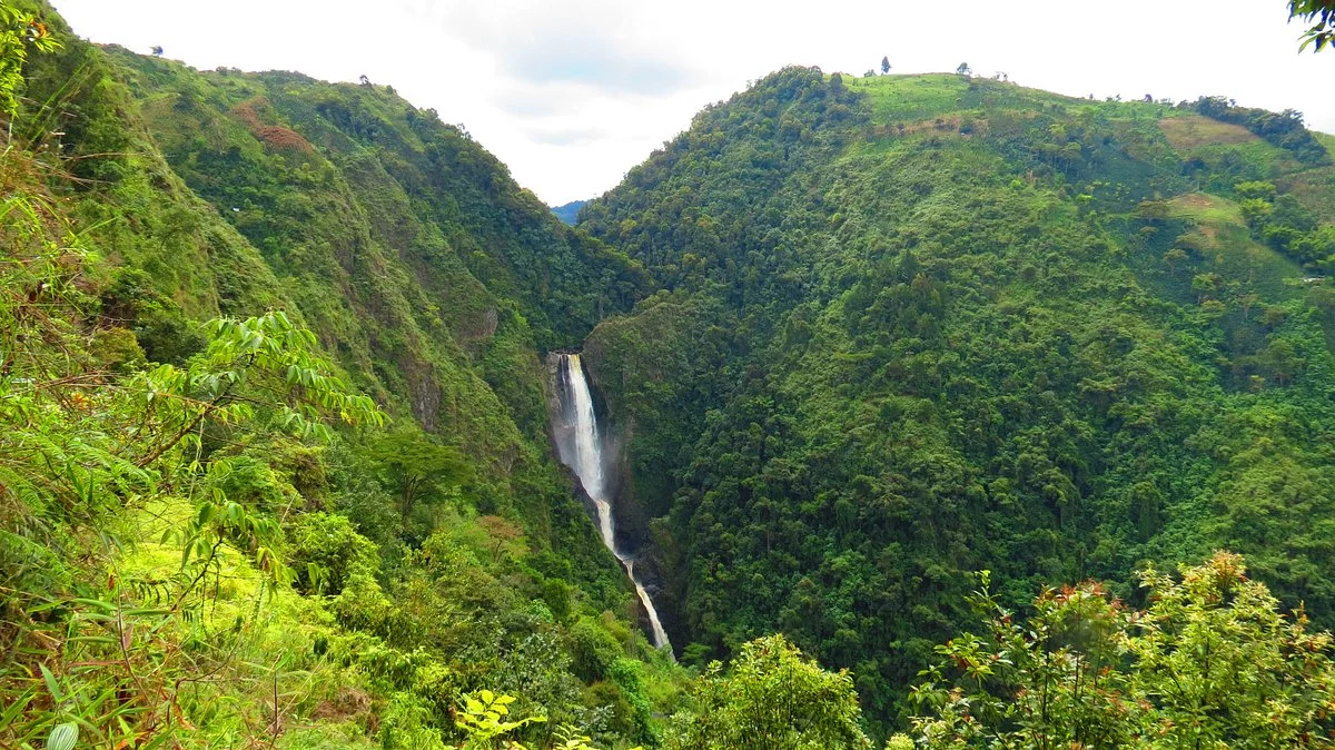 Salto de Bordones