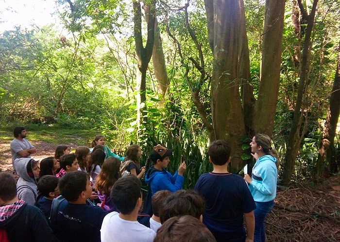 Horto Florestal de Lins