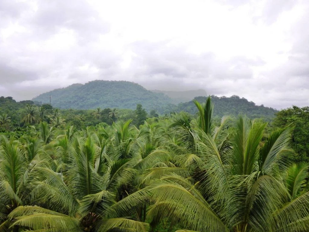 Mookambika Wildlife Sanctuary