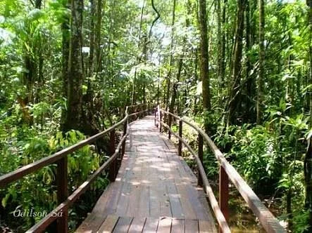 Parque Ecologico do Municipio de Belem