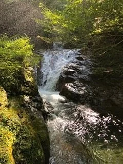 Nanasawa Forest Park