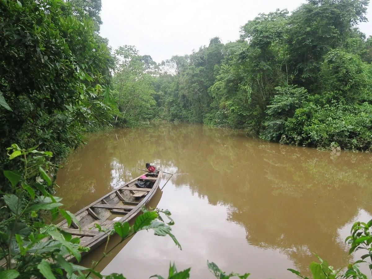 Amacayacu National Park