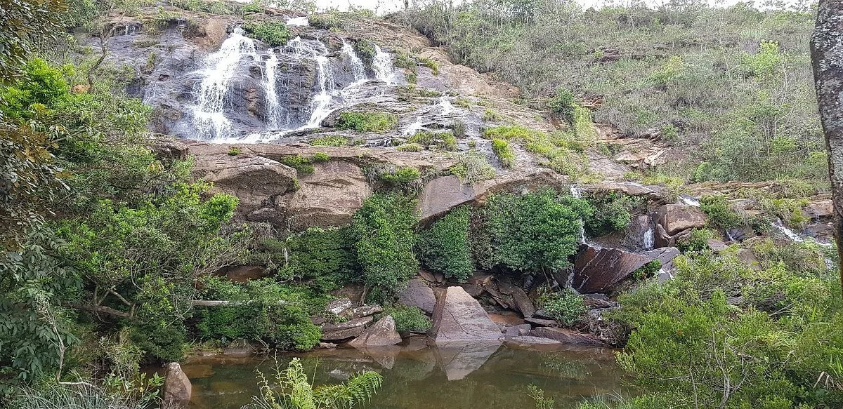 Floresta Estadual Uaimii