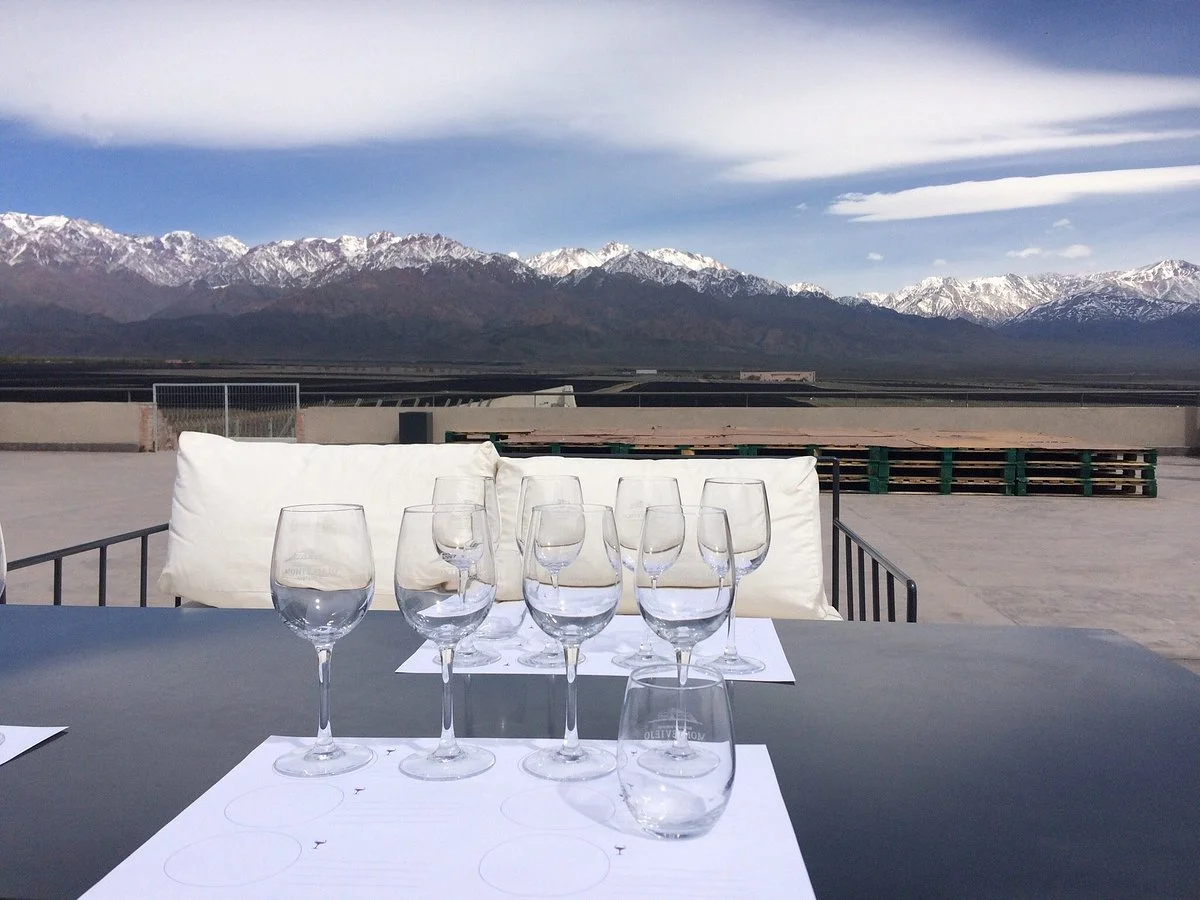 Bodega Y Vinedos Monteviejo