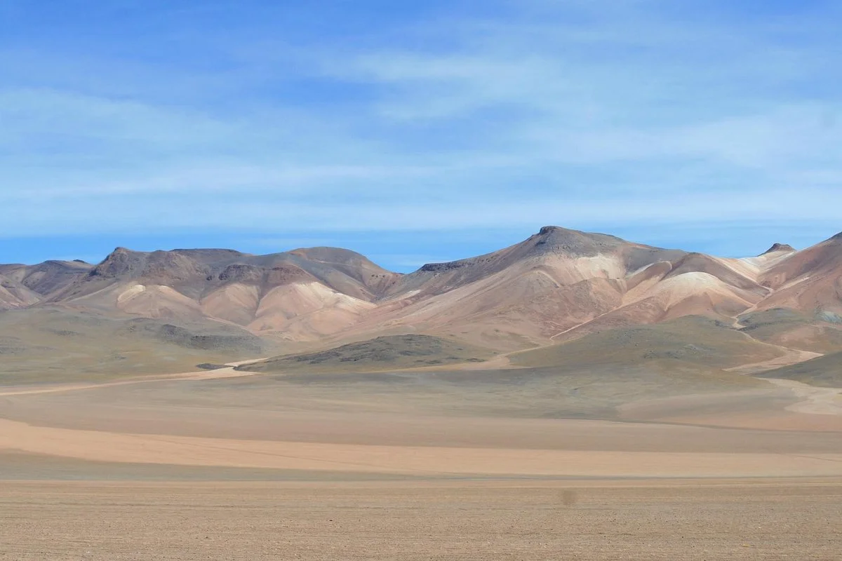 Salvador Dali Desert