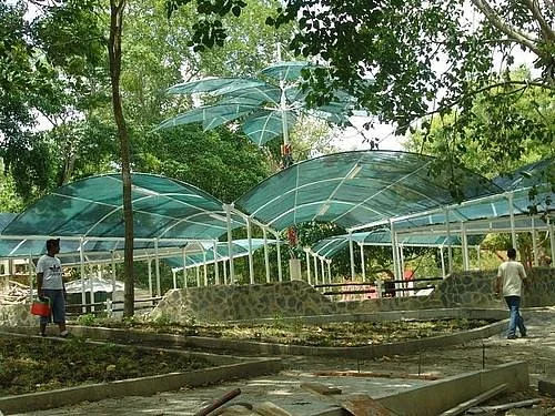 Parque Tematico Bosque Macuto