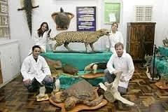 UCPel Natural History Museum