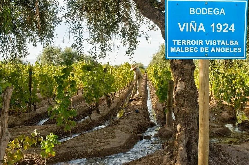Malbec De Angeles