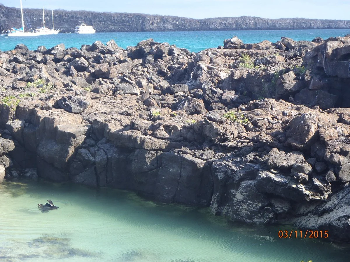 Darwin Bay