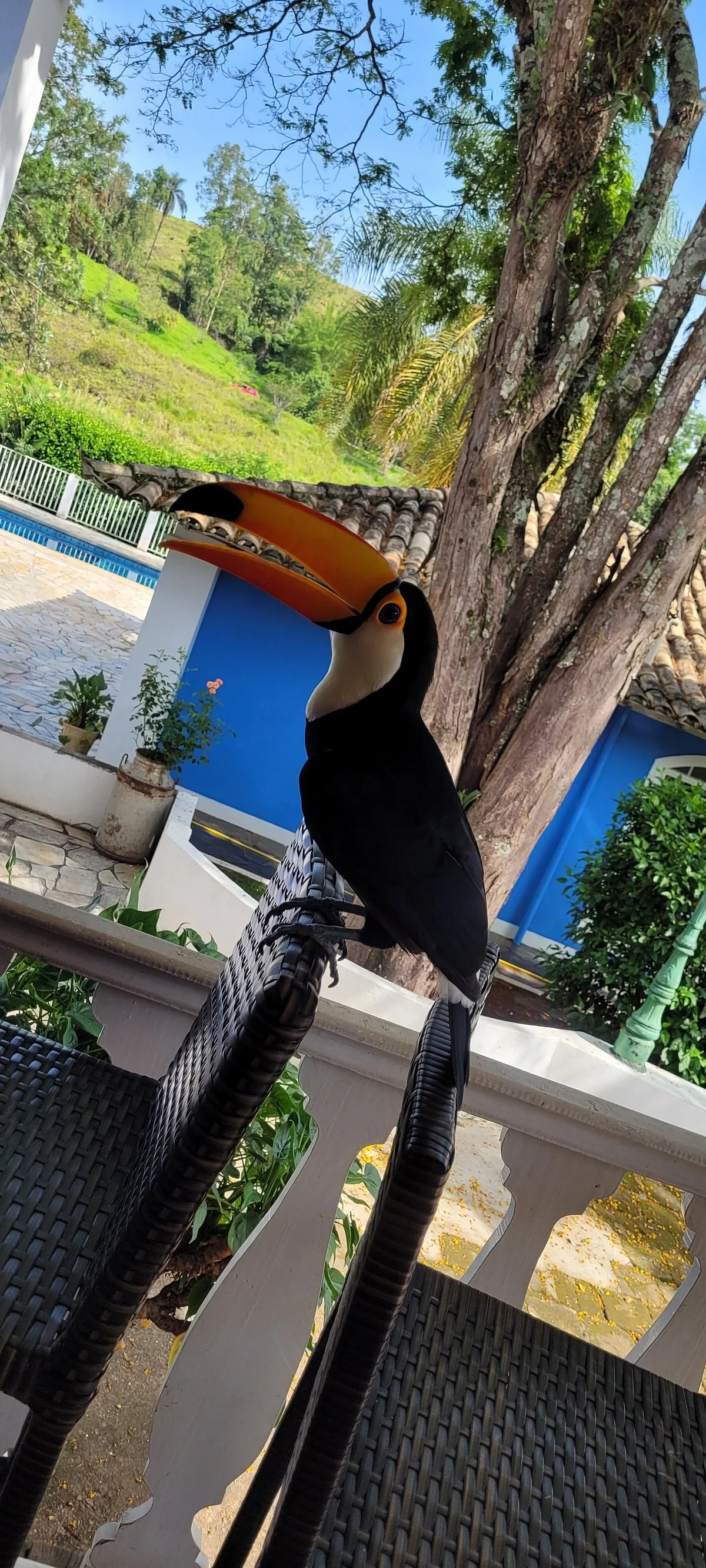 Juca Mulato Park