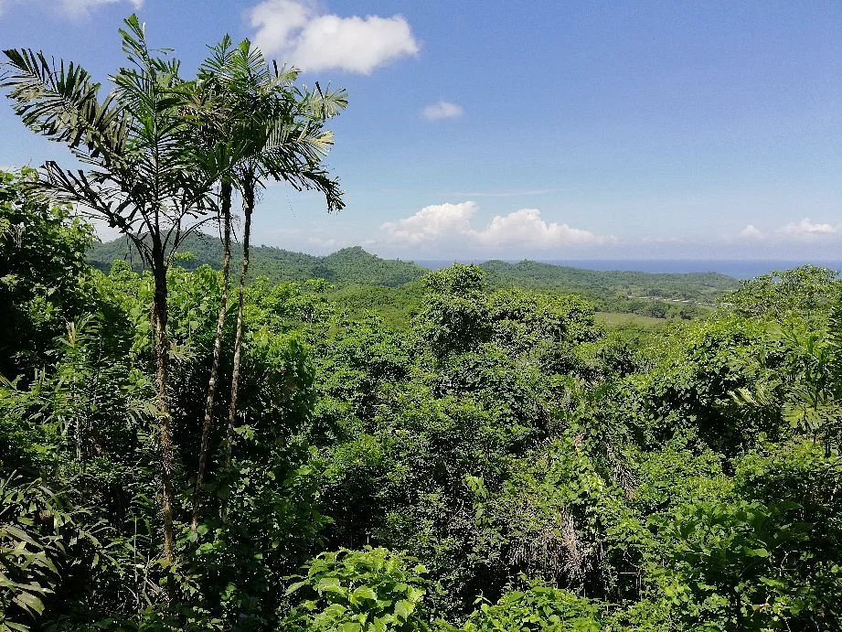 Reserva Bosque Seco Lalo Loor