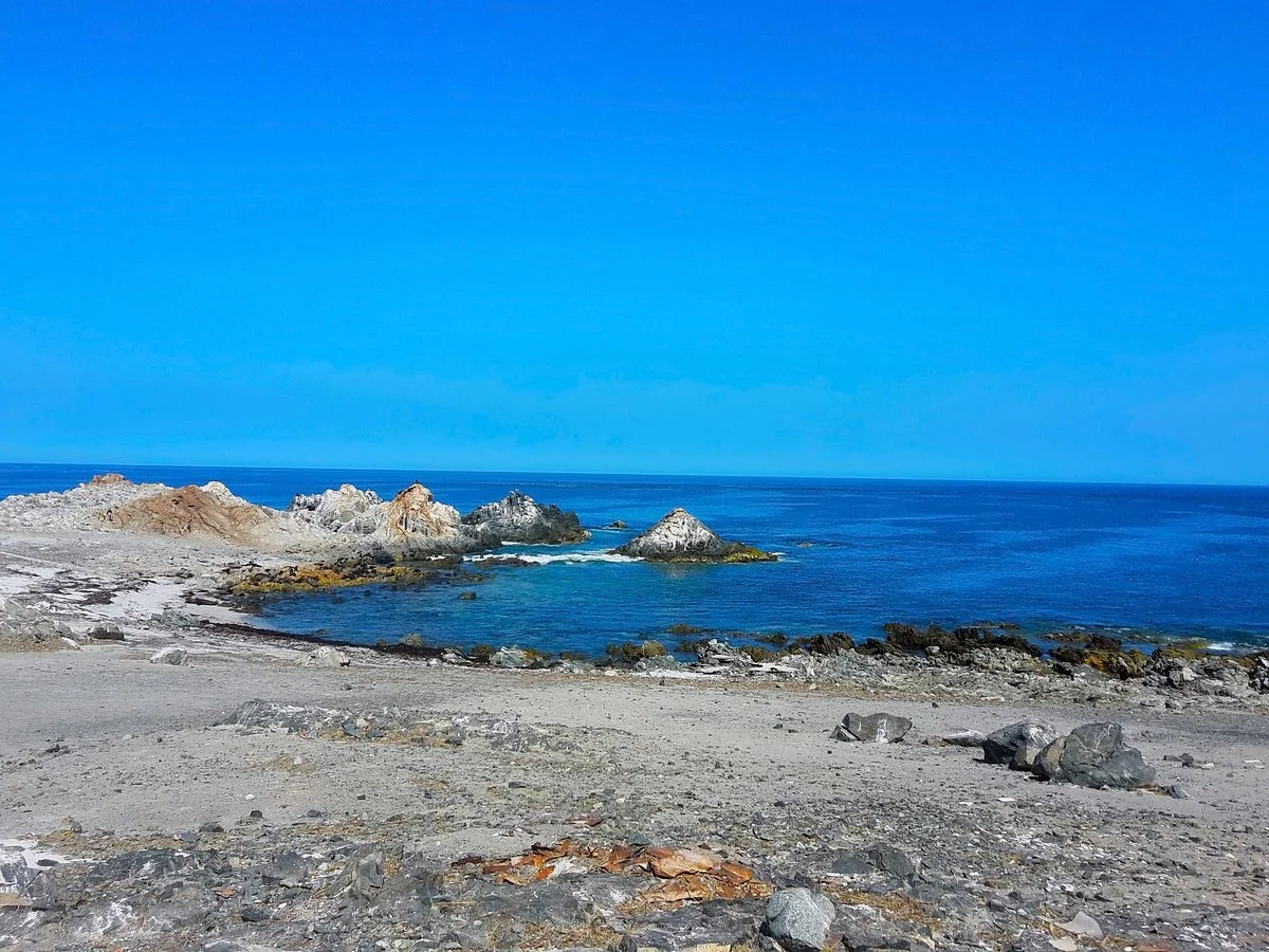 Punta de Coles