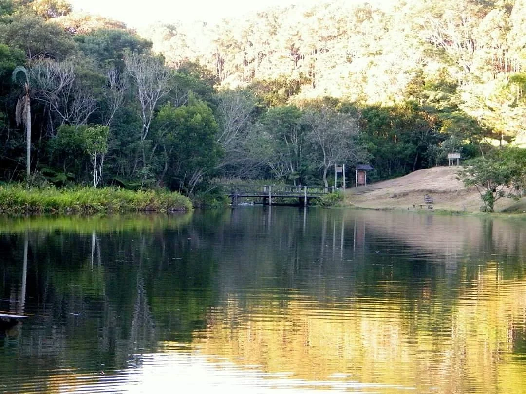 Horto Florestal de Manduri