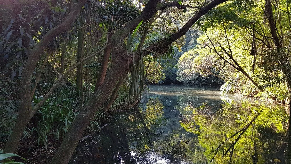 Alfredo Volpi Park